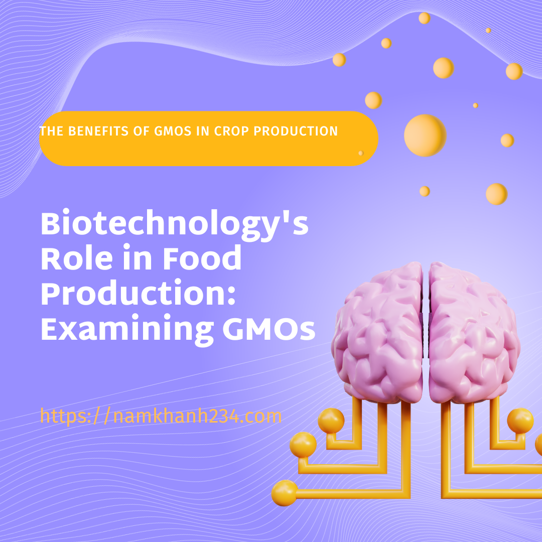 Biotechnology’s Role in Food Production: Examining GMOs
